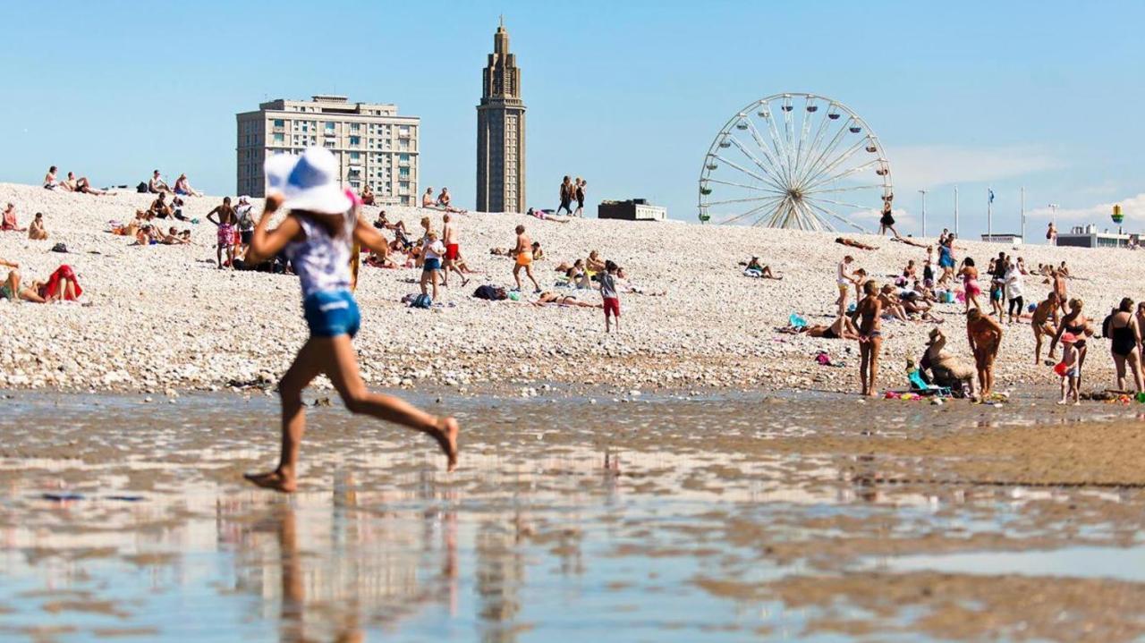 Le Petit Nid Perche Sous Les Toits, Vue Mer Le Havre Exteriör bild